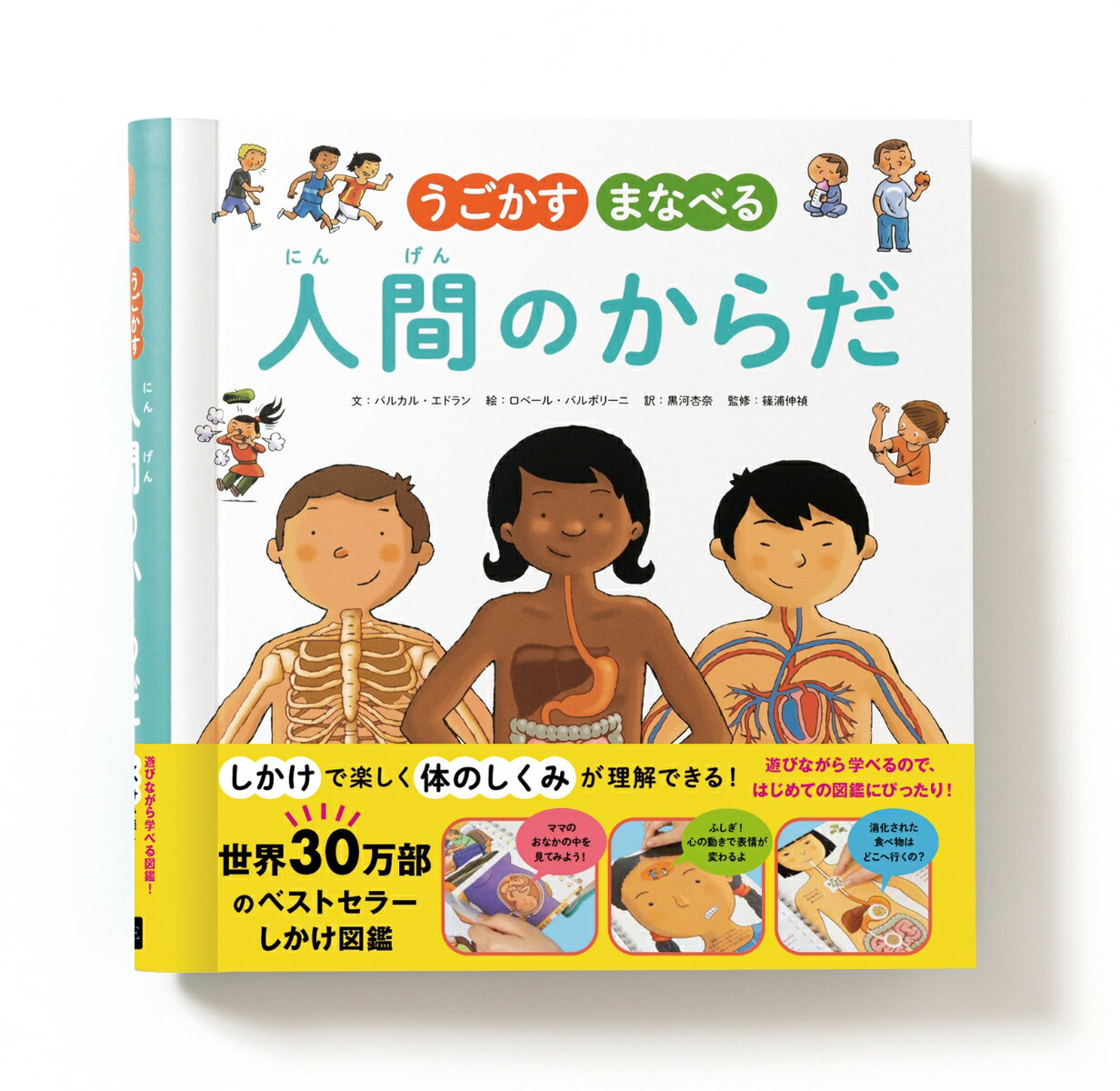 Picture-Book （JAPAN） - 【中古】うごかすまなべる人間のからだ/パイインタ-ナショナル/パルカル・エドラン（単行本）