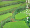 【中古】棚田の四季 写真集/グラフィック社/平松純宏(大型本)