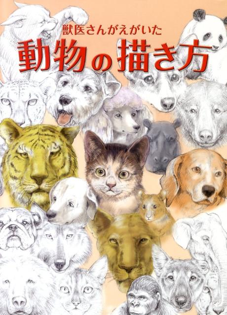 【中古】獣医さんがえがいた動物の描き方 /グラフィック社/鈴木真理（獣医師）（大型本）