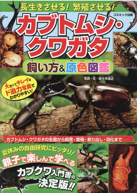 【中古】カブトムシ・クワガタ飼い方＆原色図鑑 長生きさせる！繁殖させる！ /コスミック出版/佐々木浩之（単行本）
