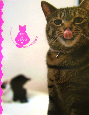 【中古】ギザ・マミタス！！ /ゴマブックス/中川翔子（単行本）