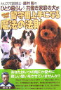 【中古】カリスマ訓練士・藤井聡のひとり暮らし&共働き家庭の犬がみるみるうちに留守番上手に /辰巳出版/藤井聡(ドッグトレ-ナ-)(ムック)