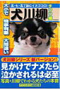 【中古】犬川柳 五・七・五で詠むイヌゴコロ! チワワ編 /辰巳出版/チワワスタイル編集部(単行本(ソフトカバー))
