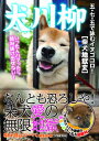 【中古】犬川柳 五・七・五で詠むイヌゴコロ! 柴犬地獄変/辰巳出版/Shi-Ba編集部(ムック)