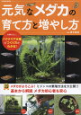 【中古】元気なメダカの育て方と増やし方 /辰巳出版/青木崇浩(ムック)