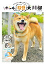【中古】ホンネ特盛犬川柳 五・七・五で詠むイヌゴコロ! /辰巳出版/Shi-Ba編集部(ムック)