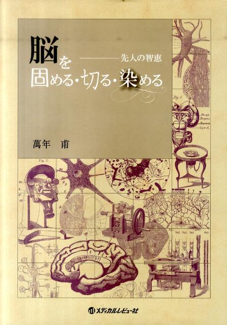 【中古】脳を固める・切る・染める 先人の智恵/メディカルレビュ-社/万年甫（大型本）