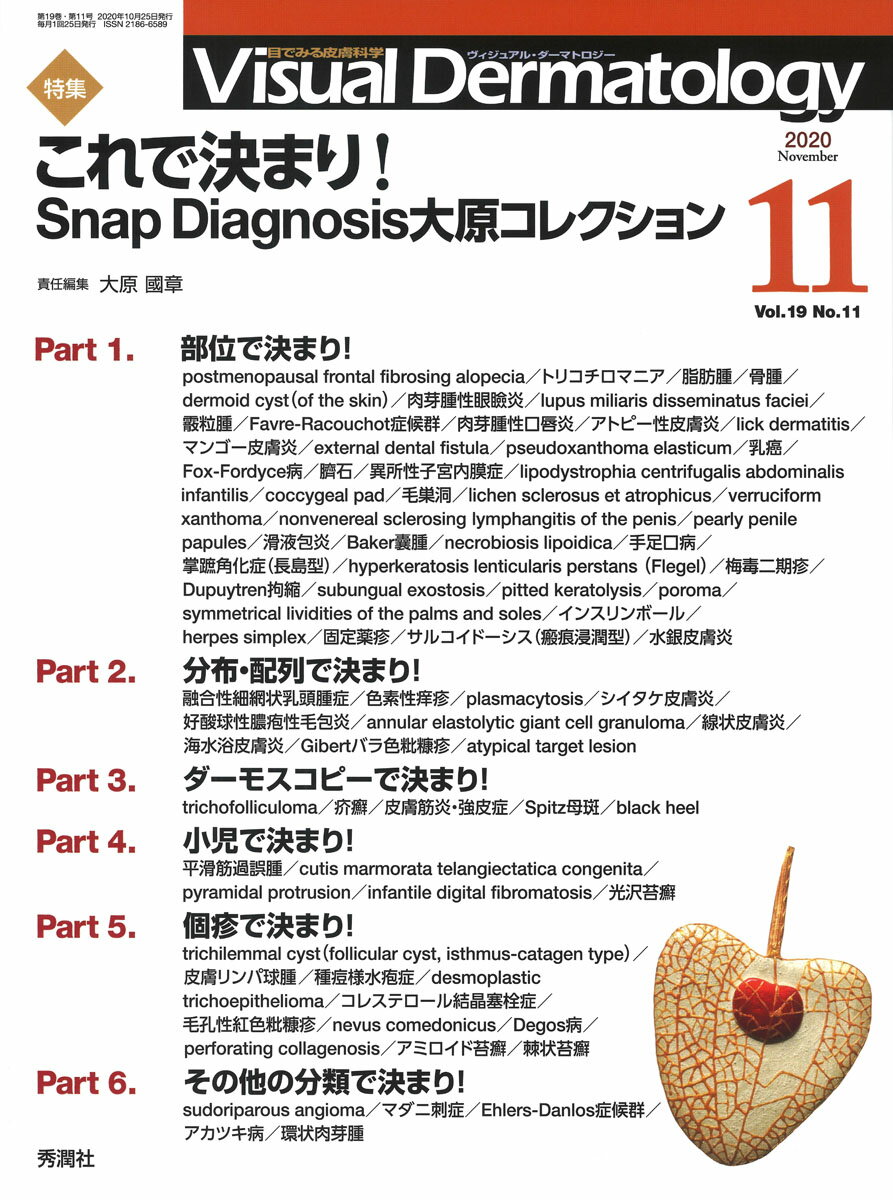 Visual　Dermatology 目でみる皮膚科学 Vol．19　No．11（20/学研メディカル秀潤社（大型本）