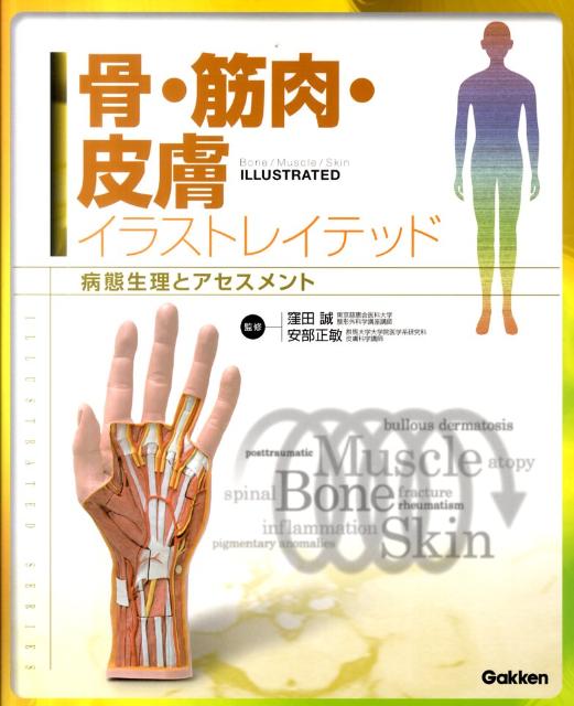 【中古】骨・筋肉・皮膚イラストレイテッド 病態生理とアセスメント/学研メディカル秀潤社/窪田誠（大..