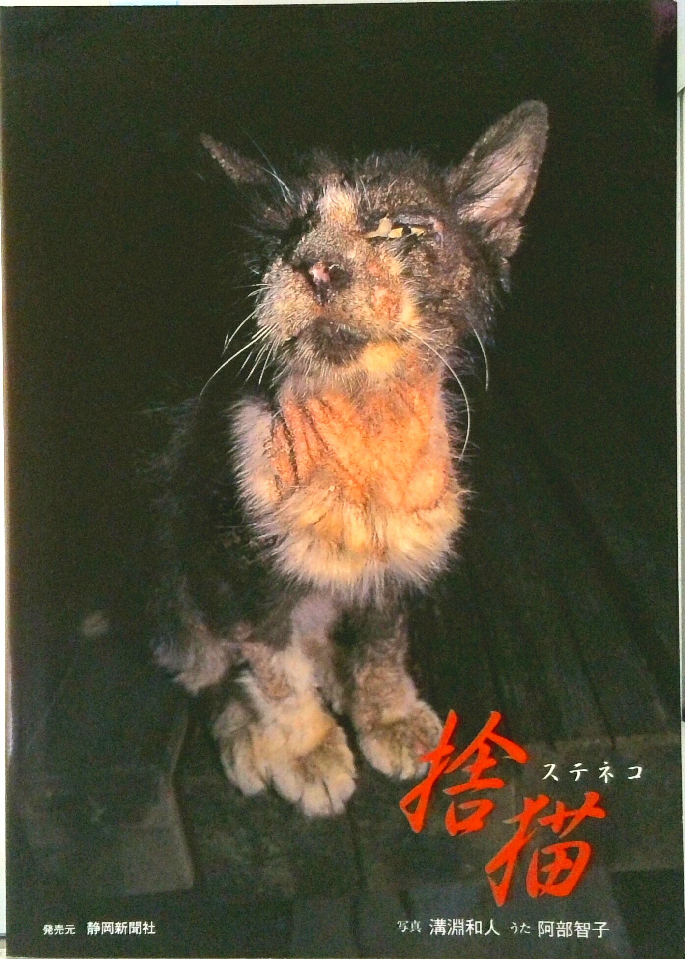 【中古】捨猫/溝淵和人/溝淵和人（単行本）