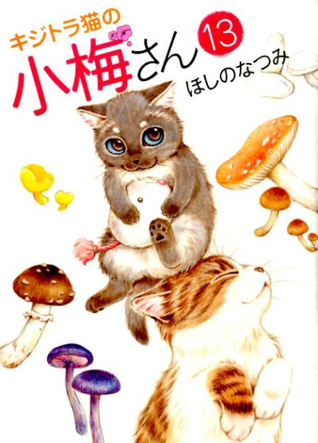 【中古】キジトラ猫の小梅さん 13 /少年画報社/ほしのなつみ（コミック）
