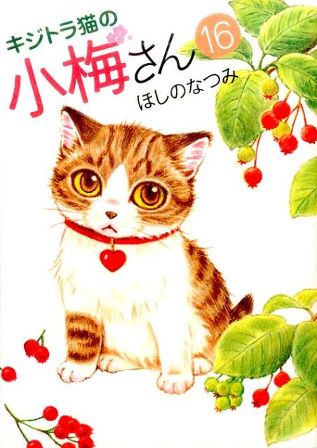 Ladies - 【中古】キジトラ猫の小梅さん 16 /少年画報社/ほしのなつみ（コミック）