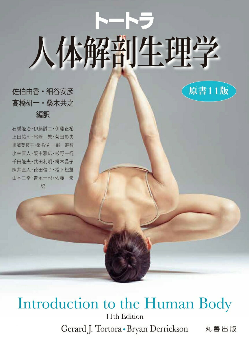 【中古】トートラ人体解剖生理学 原書11版/丸善出版/ジェラルド・J．トートラ（単行本（ソフトカバー））