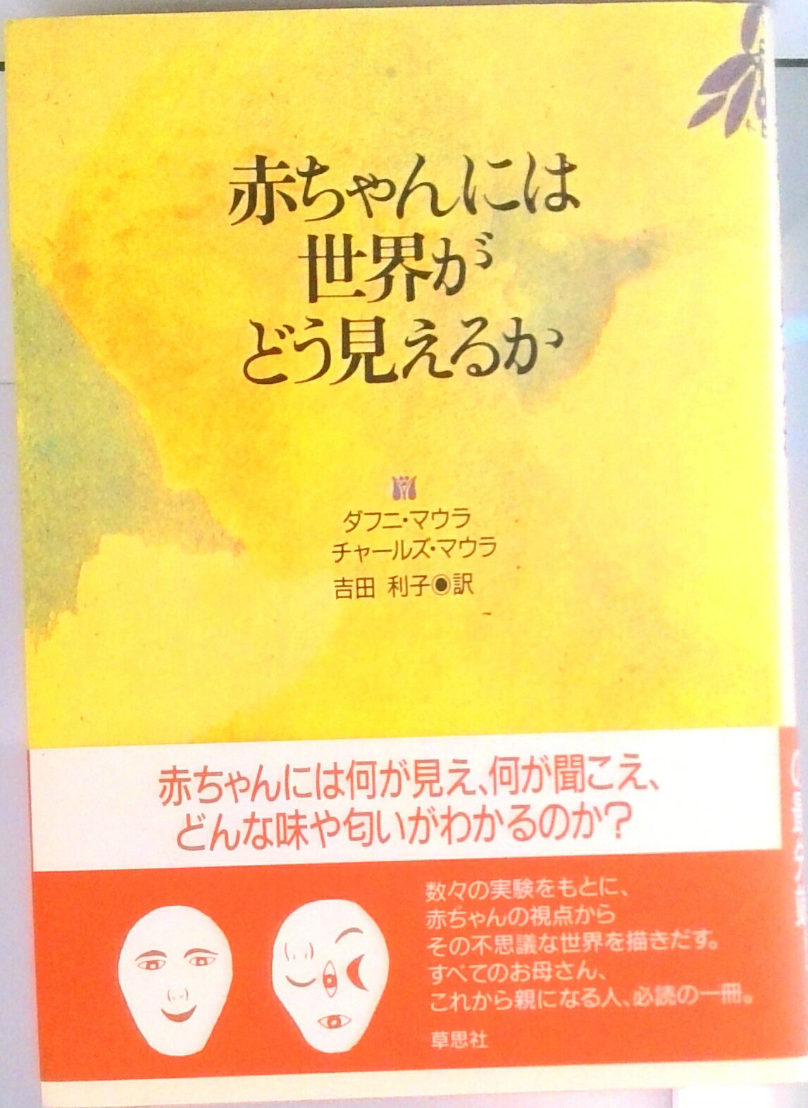 【中古】赤ちゃんには世界がどう見えるか /草思社/ダフニ・マウラ-（単行本）