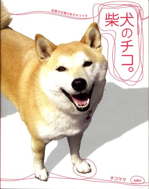 【中古】柴犬のチコ。 笑顔が自慢の柴犬チコです /宝島社/チコママ（単行本）