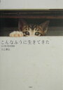 【中古】こんなふうに生きてきた わが家の野良猫達 /新風舎/川上泰弘(単行本)