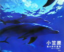 【中古】小笠原 遙か南の蒼海/新風舎/小林修一(大型本)