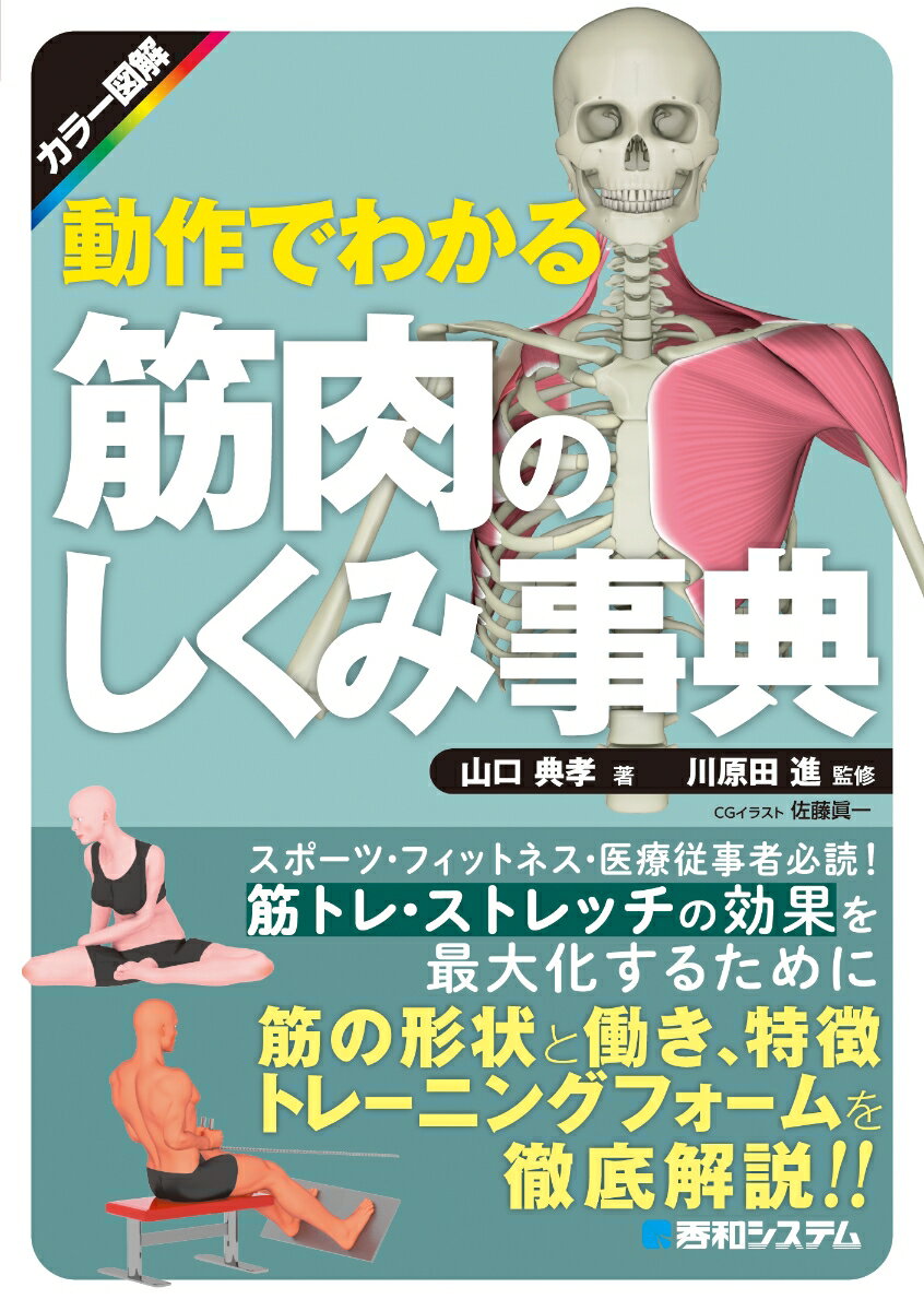 【中古】動作でわかる筋肉のしくみ事典 カラー図解/秀和システム/山口典孝（単行本（ソフトカバー））