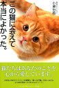 【中古】この猫に会えて本当によかった。/ア-ス・スタ-エンタ-テイメント/小栗也絵(単行本(ソフトカバー))