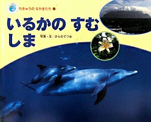 【中古】いるかのすむしま /チャイルド本社/平埜哲雄（大型本）