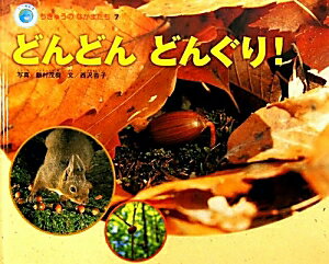 VALUE BOOKS㤨֡šۤɤɤɤ󤰤ꡪ/㥤ܼ/¼м緿ܡˡפβǤʤ799ߤˤʤޤ