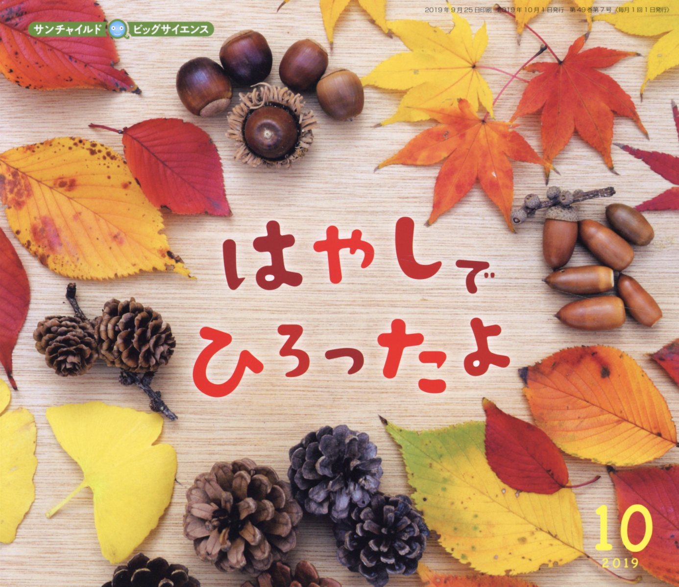 Other - 【中古】はやしでひろったよ /チャイルド本社（単行本）