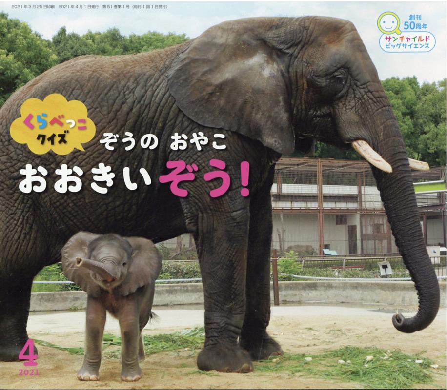 【中古】くらべっこクイズぞうのおやこおおきいぞう！ /チャイルド本社/今泉忠明（大型本）