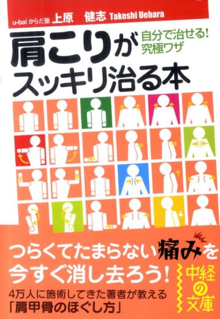 楽天市場】筋肉触診バイブル 上半身編 [ 上原健志 ]の通販