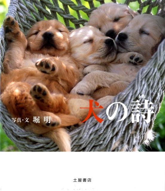 【中古】犬の詩/つちや書店/堀明（大型本）