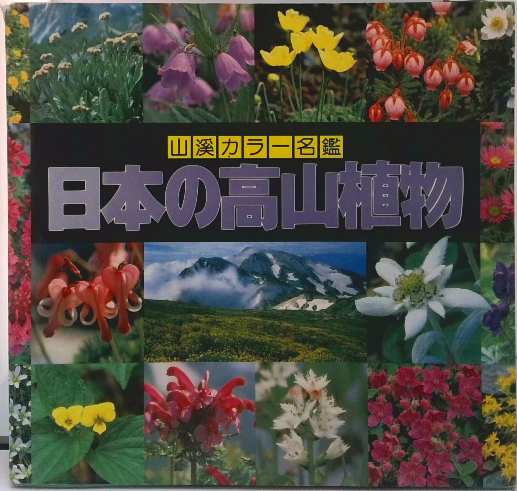 【中古】日本の高山植物 /山と渓谷社/豊国秀夫（単行本）