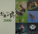 【中古】日本の鳥 写真集 2000/文一総合出版/Birder編集部(大型本)