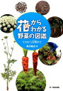 【中古】花からわかる野菜の図鑑 たねから収穫まで/文一総合出版/亀田竜吉(単行本)