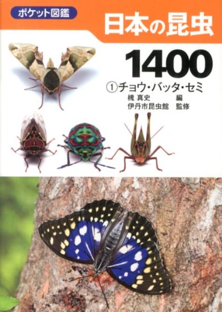 【中古】日本の昆虫1400 ポケット図鑑 1 /文一総合出版/槐真史（文庫）