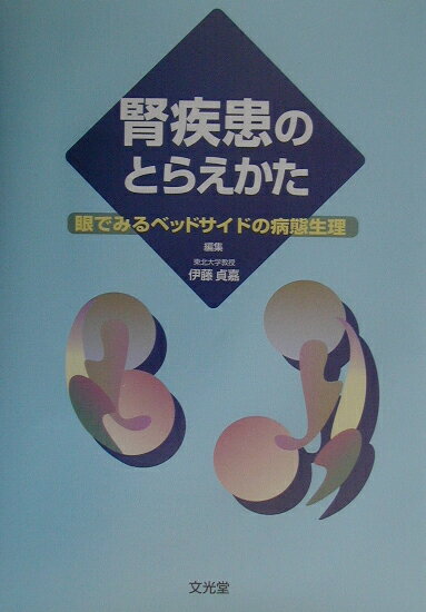 【中古】腎疾患のとらえかた 眼でみるベッドサイドの病態生理 /文光堂/伊藤貞嘉（単行本）