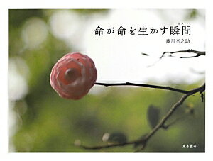 【中古】命が命を生かす瞬間 /真宗大谷派（東本願寺出版部）/藤川こうのすけ（単行本（ソフトカバー））