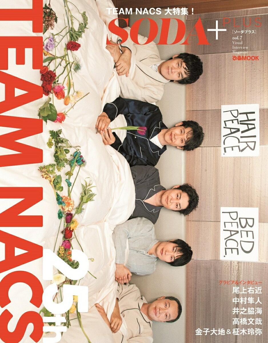 SODA＋ Visual　Interview　Magazine Vol．7 /ぴあ（ムック）