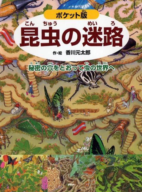 【中古】昆虫の迷路 秘密の穴をとおって虫の世界へ ポケット版/PHP研究所/香川元太郎（単行本（ソフトカバー））