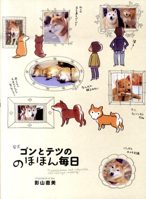 【中古】柴犬ゴンとテツののほほん毎日 /メディアファクトリ-/影山直美（単行本）