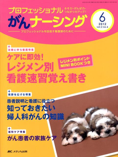 【中古】プロフェッショナルがんナ-シング プロフェッショナルを目指す看護師のために 第2巻6号（6　20..