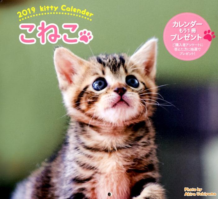 【中古】こねこカレンダー 2019/労働教育センタ-の商品画像