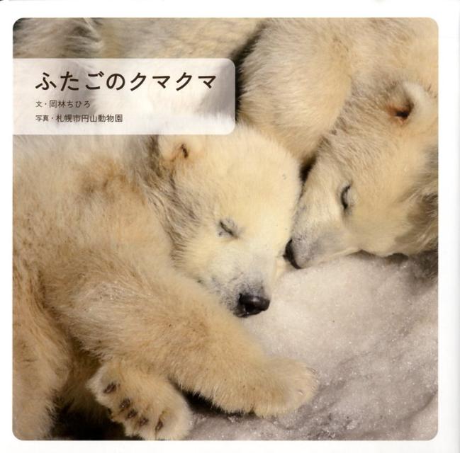 Picture-Book （JAPAN） - 【中古】ふたごのクマクマ /長崎出版/岡林ちひろ（大型本）