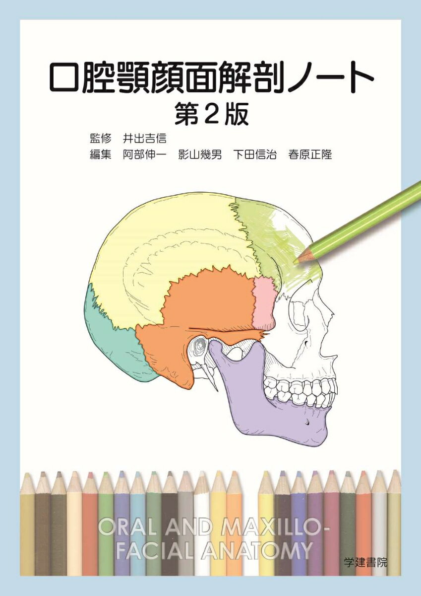 【中古】口腔顎顔面解剖ノート 第2版/学建書院/井出吉信（大型本）