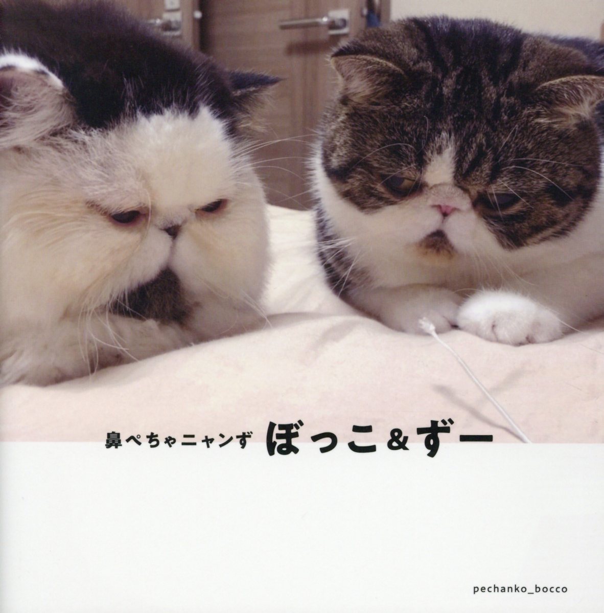 【中古】鼻ぺちゃニャンず ぼっこ＆ずー/ジ-ウォ-ク（単行本）