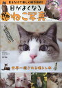 【中古】見るだけで楽しく視力回復!目がよくなるかわいいねこ写真/ガイドワ-クス/日比野佐和子(ムック)