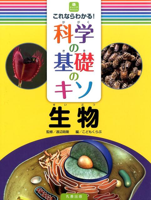 【中古】これならわかる！科学の基礎のキソ 生物/丸善出版/こどもくらぶ編集部（大型本）