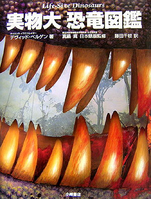 【中古】実物大恐竜図鑑 /小峰書店/デヴィッド・ベルゲン（大型本）