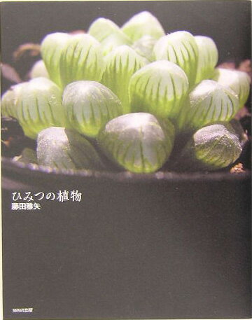 【中古】ひみつの植物 /WAVE出版/藤田雅矢（単行本）