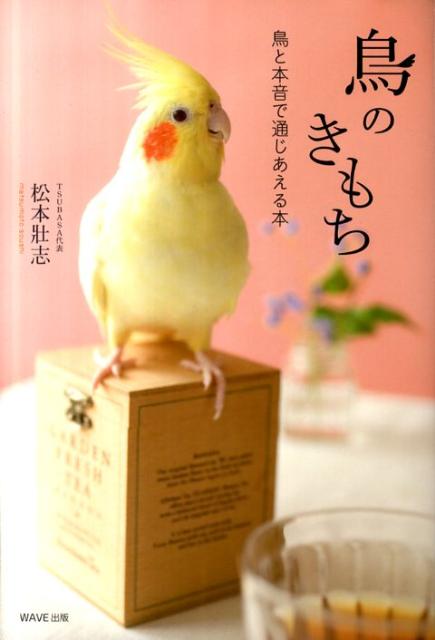 【中古】鳥のきもち 鳥と本音で通じあえる本 /WAVE出版/松本壯志（単行本（ソフトカバー））