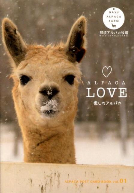 【中古】ALPACA　LOVE 癒しのアルパカ /建築資料研究社/那須アルパカ牧場（文庫）