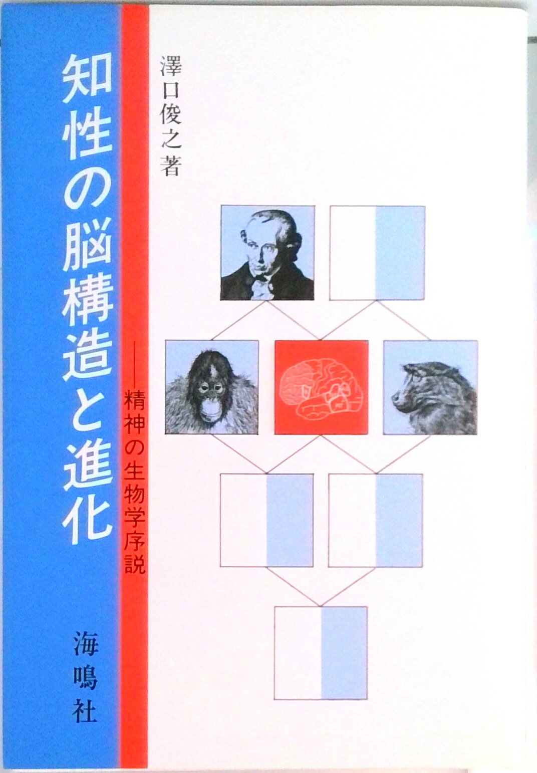 【中古】知性の脳構造と進化 精神の生物学序説 /海鳴社/沢口俊之（単行本）